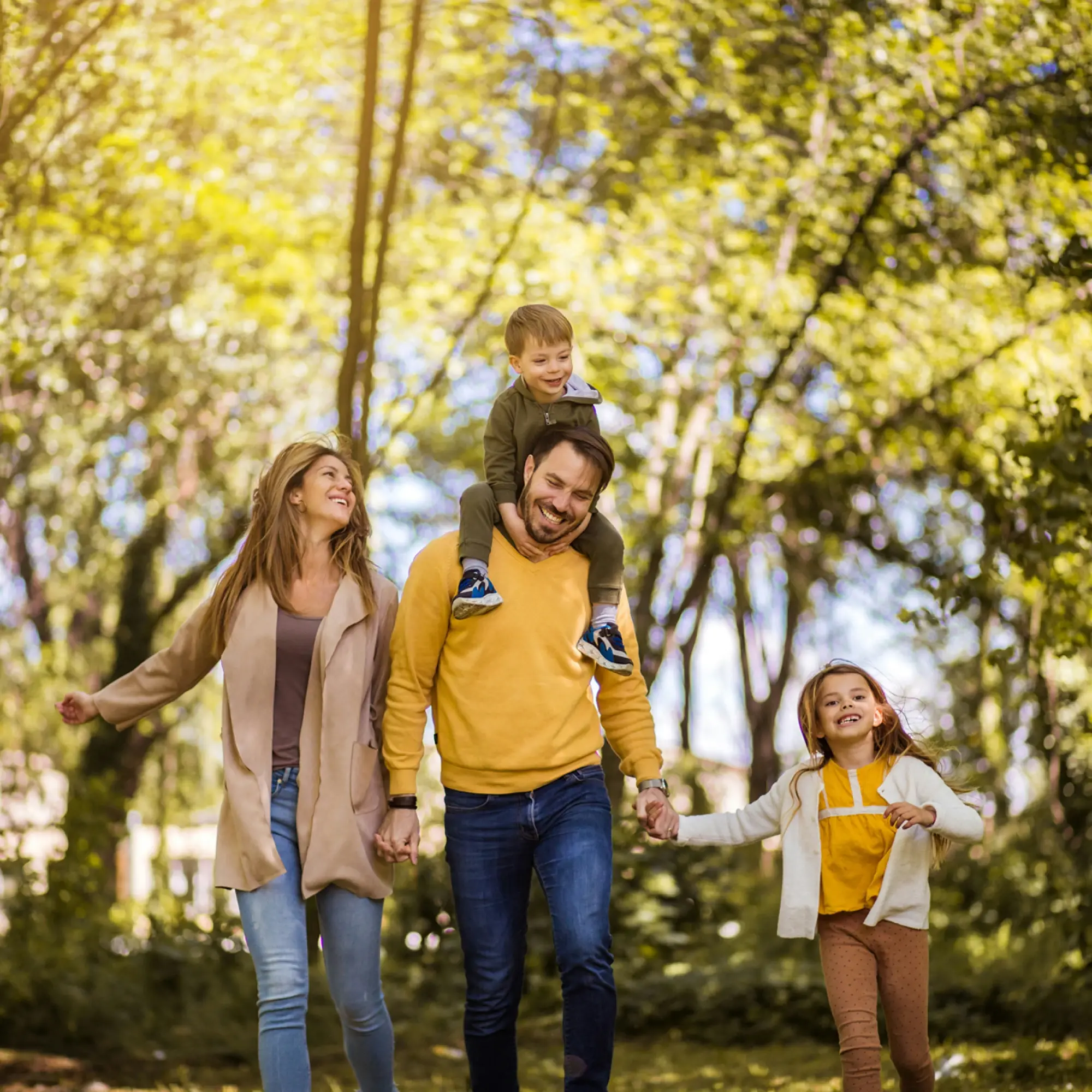 about-rcf_section-img-2