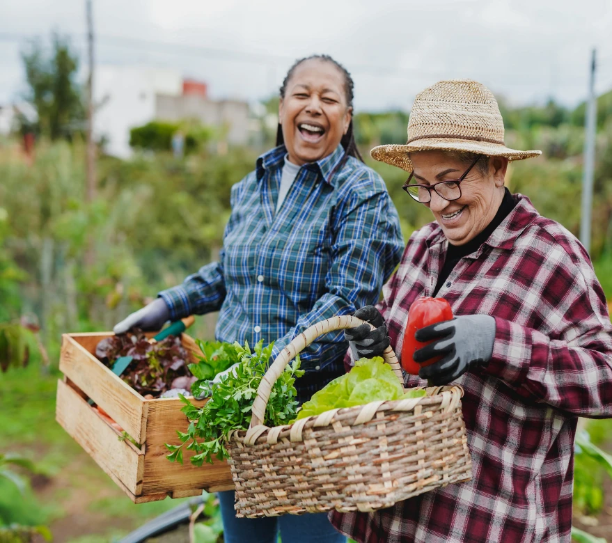 hero-section-card-carousel_img-2